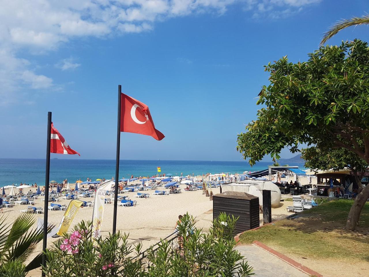 Leilighet Cleopatra Crown Alanya